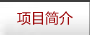 项目简介